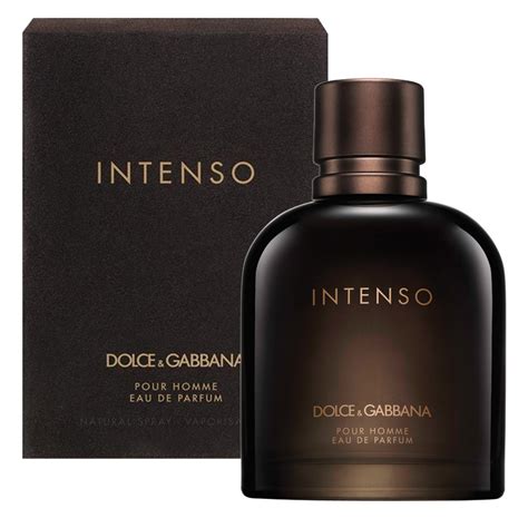 dolce gabbana cual es mejor pour homme o intense|Dolce & Gabbana only one intense.